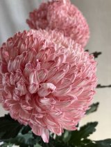 12月のフラワーレッスン