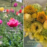 奈良蔦屋書店ワークショップ　1月•2月