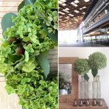 奈良蔦屋書店ワークショップ　7月