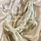 奈良蔦屋書店ワークショップ　8月
