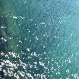 8月のフラワーレッスン　　