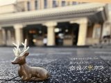 本日奈良ノ空カラに出店いたします