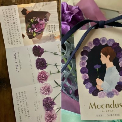 画像1: 【母の日限定商品】カーネーションムーンダストと洋書風小物入れセット