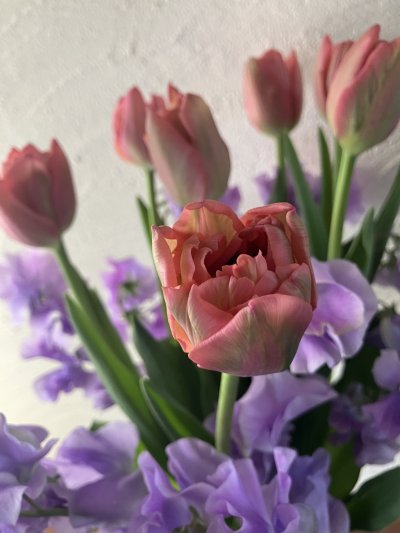 画像3: 【２月•3月期間限定商品】おまかせチューリップ&スイートピーブーケ