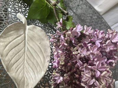 画像2: 【母の日限定商品】季節のお花の母の日アレンジとリーフデコセット