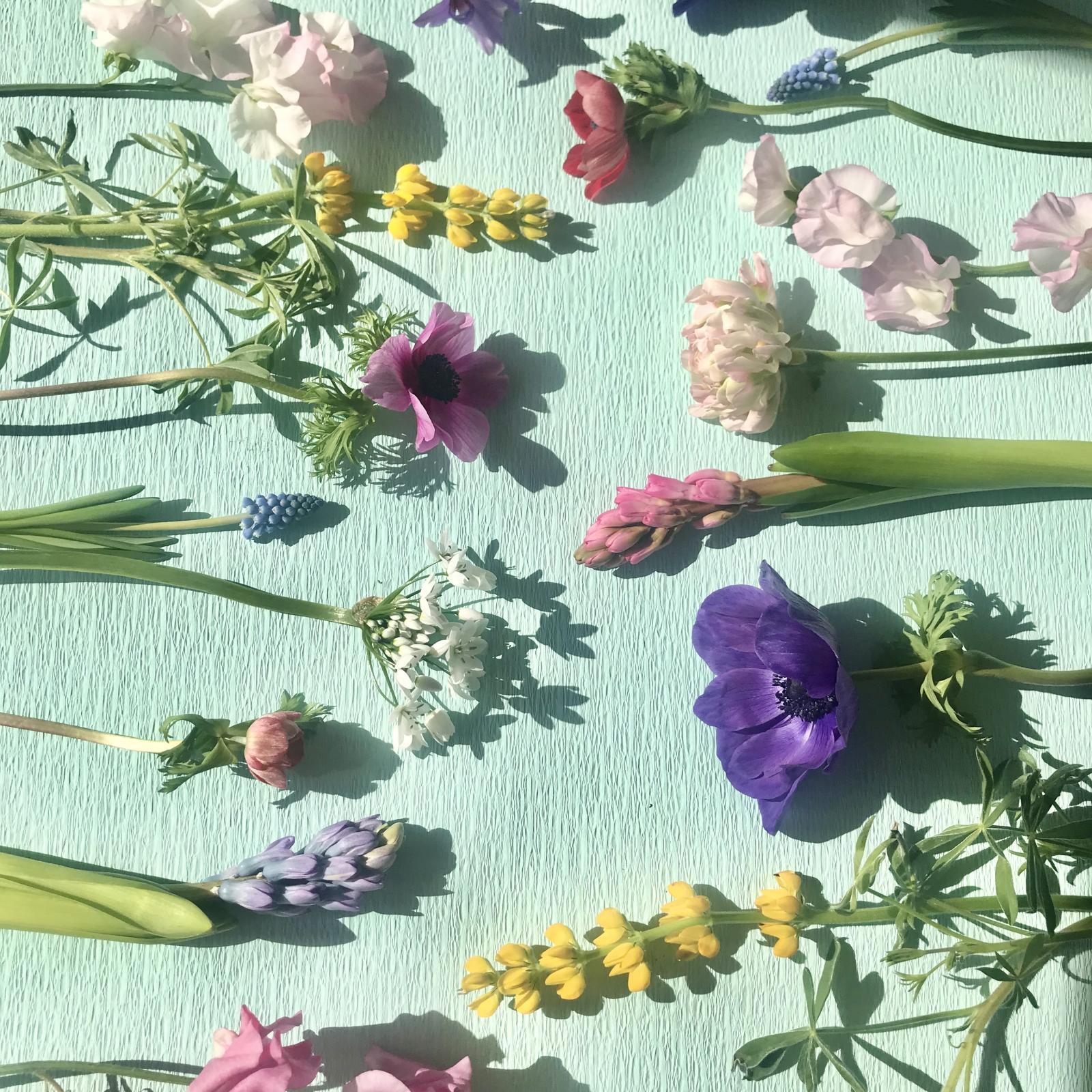 2月のフラワーレッスン