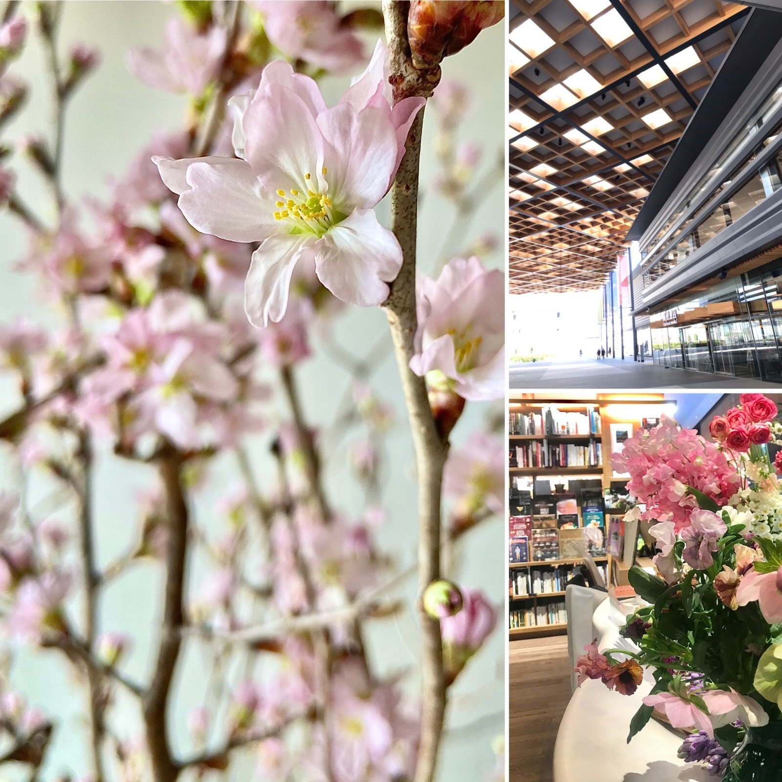 奈良蔦屋書店ワークショップ　3月