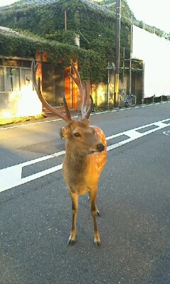 今日はありがとうございました✿