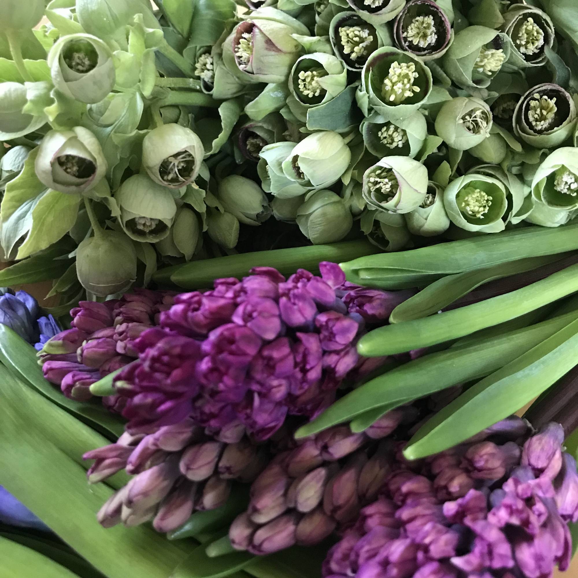 奈良のお花屋さんbrickのホームページです