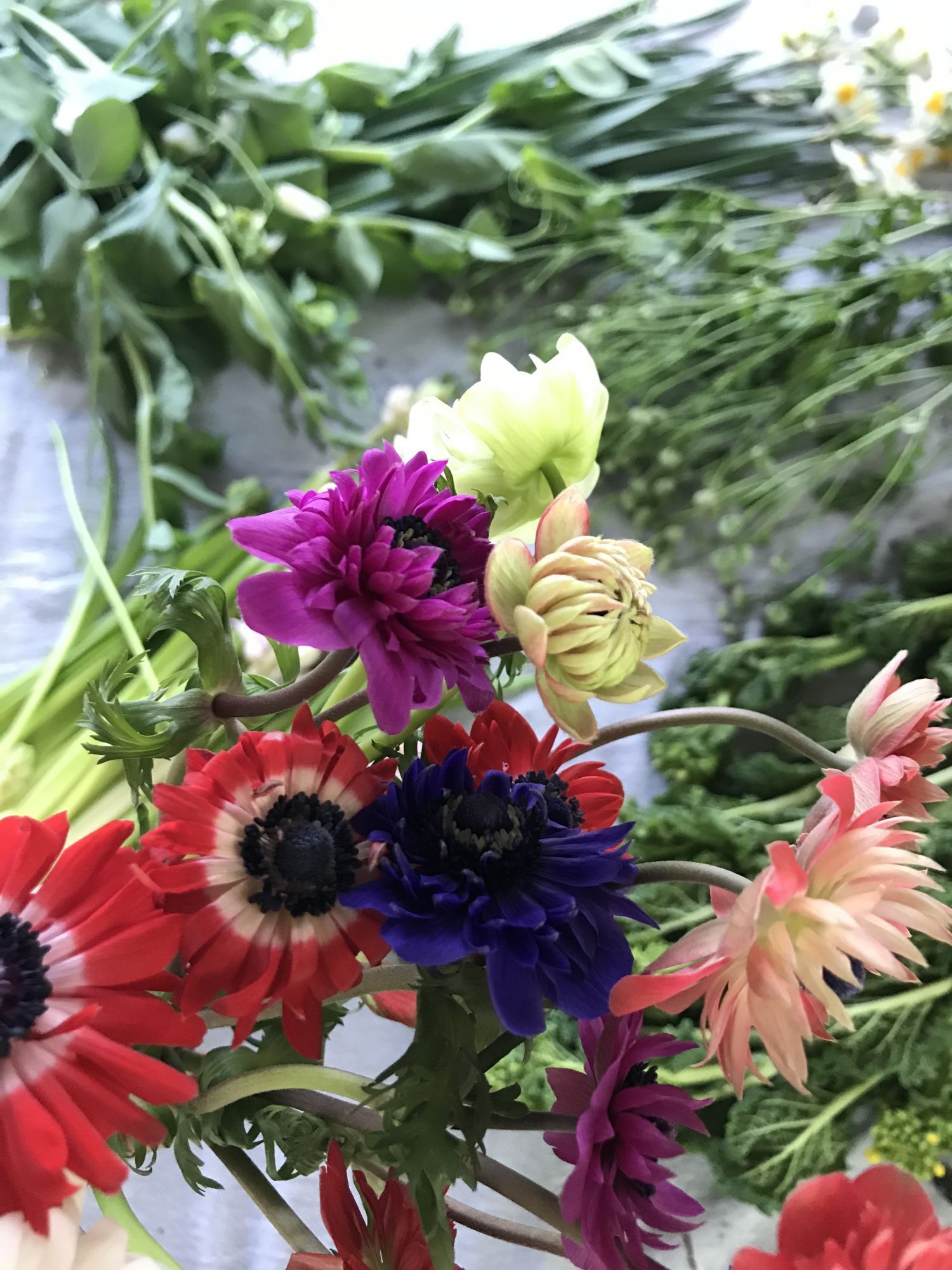 奈良のお花屋さんbrickのホームページです 奈良のお花屋さんbrickのホームページです